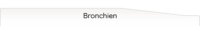 Bronchien