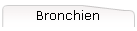 Bronchien